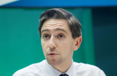 Former HSE chief calls Simon Harris 'a frightened little boy'
