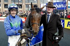 Hurricane Fly triumphs at Punchestown