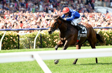 Aidan O'Brien's Cliffs of Moher suffers fatal injury at the Melbourne Cup
