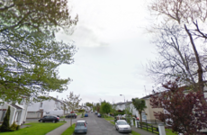 Woman (70s) dies after being hit by truck in Dundalk