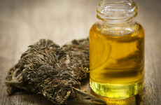 'Medicinal cannabis can be made available in Ireland early next year if a push is made by the department'