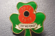 As we approach the centenary of Armistice Day, here's why I'm asking Irish politicians to wear a Shamrock Poppy