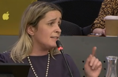 Ex-Sinn Féin colleagues clash over 'misogynistic' amendment to abortion legislation