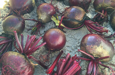 From the garden: 'Do not 'Irish mammy' the sprouts by boiling the divil out of them for 20 minutes'