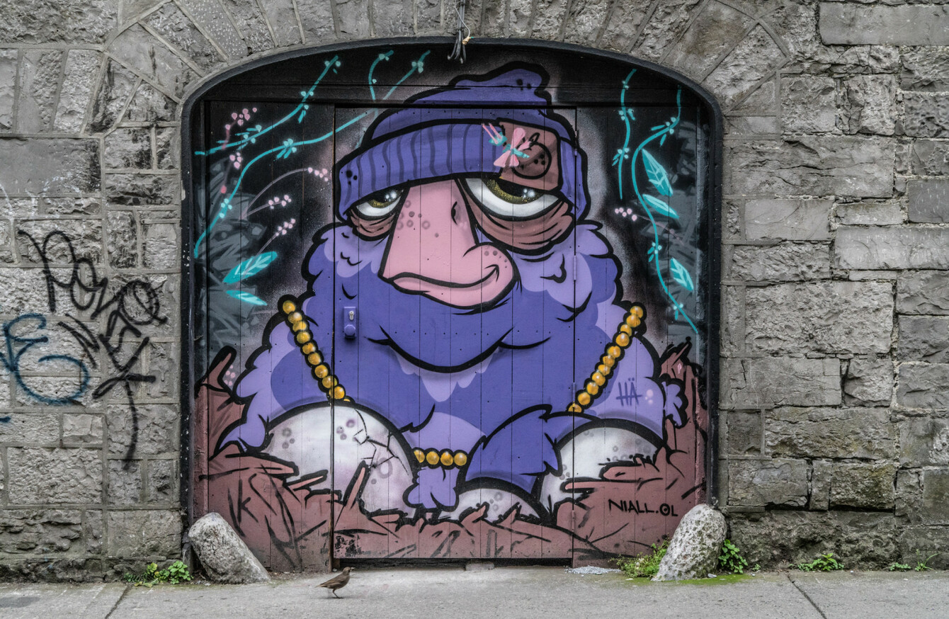 From Wild Horses To Elvis A Tour Of Galway Street Art In 11 Photos