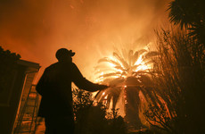 Nine die in California wildfires as tens of thousands forced to flee