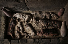 Egypt's newly discovered tombs hold cat mummies and animal statues