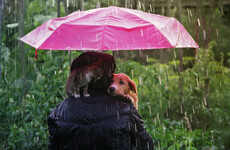 Humid and mild conditions today... but heavy rain here to stay