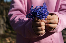 UCD research to explore how child abuse survivors found strength in their struggles
