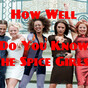 How Well Do You Know The Spice Girls?