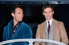 Jude Law proved he's a bit of a dry shite by berating Eddie Redmayne's love of reality TV