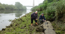 Parts of a logboat found by River Boyne anglers are 5,000 years old