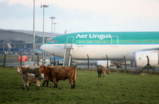 Poll: Do you think a new airport for the midlands is a good idea?