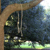 Police investigating nooses found by Mississippi Capitol before US Senate runoff