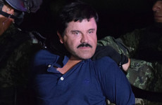 El Chapo's high life: Court hears of Swiss clinics, mansions and a private zoo