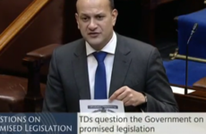 'You're a disgrace': Clashes in the Dáil over medicinal cannabis delay (and Leo breaks Dáil rules)