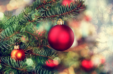 Poll: When are you putting up your Christmas tree?