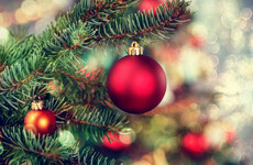 Poll: When are you putting up your Christmas tree?
