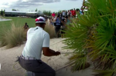 'Not discernible to the naked eye': Woods avoids penalty for possible double-hit