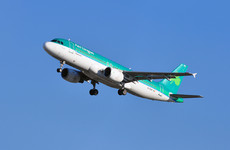 Aer Lingus 'dismayed' at 'small subset' of staff who do not behave in an exemplary manner