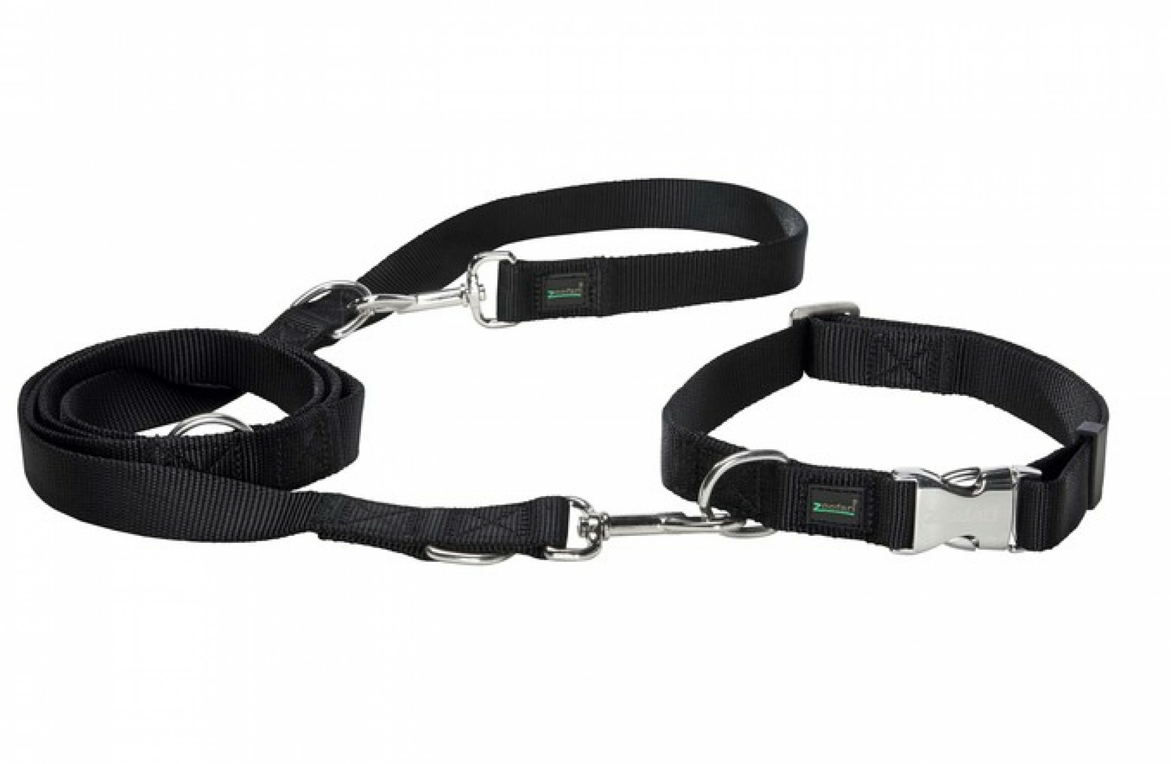 zoofari dog collar and lead