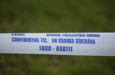 Human remains found in Co Laois believed to be of man missing since earlier this year