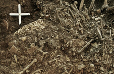 This ancient strain of plague may have aided in wipeout of Neolithic Europeans