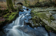 Ireland in a Snapshot: Shooting a music video in the Wicklow woods