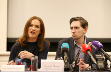 Dr Rhona Mahony says it's a 'big ask and challenge' to have full abortion services by New Year's Day