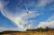'A deeply embarrassing blow': Ireland ranked worst in Europe for tackling climate change