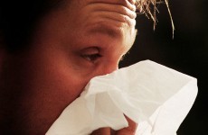 Hay fever sufferers 'take time off work and avoid sex'