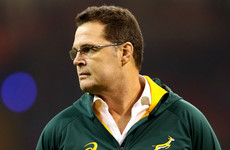 Erasmus expects to leave Springbok head coach role after World Cup