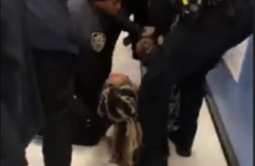 Outrage builds over video of NYPD officers ripping toddler from mother's arms