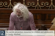 'He's gone and he needn't have been gone': Mick Wallace gives impassioned speech about suicide