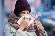 Colds, flus and bugs: How to stay healthy and fight infections this Christmas season