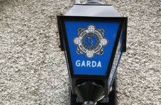 13 arrested in major garda operation
