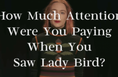 How Much Attention Were You Paying When You Saw Lady Bird?