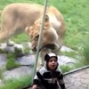 How not to... video your child at the zoo