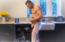 Dealz ad featuring 'Harry the Hunk' filling a dishwasher falls foul of ad rules