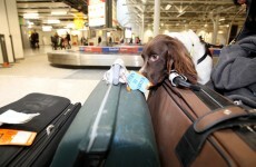 Drugs smugglers leave bag on airport carousel