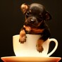 It's Friday, so here's a slideshow of animals in cups from around the world