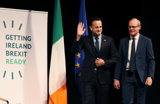 'A sobering read': Here's the Irish government's no-deal Brexit plan