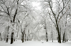 Are you dreaming of a white Christmas? Met Éireann indicates that you'll probably be disappointed