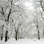 Are you dreaming of a white Christmas? Met Éireann indicates that you'll probably be disappointed