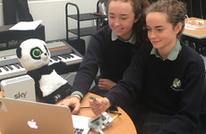 This project by Westmeath students aims to help parents know when a smart toy has been hacked