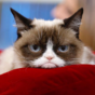 5 small ways to make January less shite than it usually is