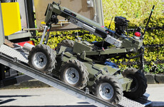 Army bomb squad called to remove two explosive devices from property in Louth