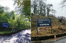 Wildlife group's complaint over destruction of woodland 'disingenuous' claims Department