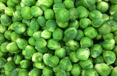 From the Garden: Supermarkets selling below cost veg is hurting farmers and it is bad for us all