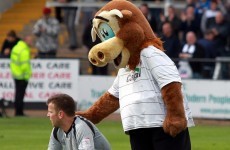 A load of bull: Hereford relegated from Football League despite final day win
